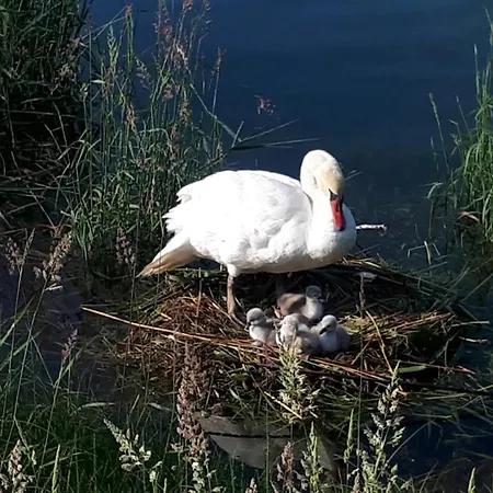 Bank Am * Immenstaad am Bodensee