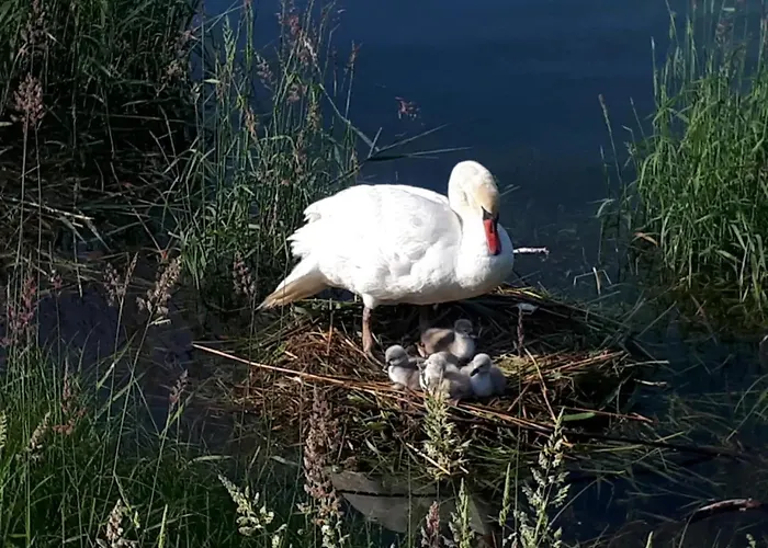 Bank Am * 이멘슈타트암보덴지